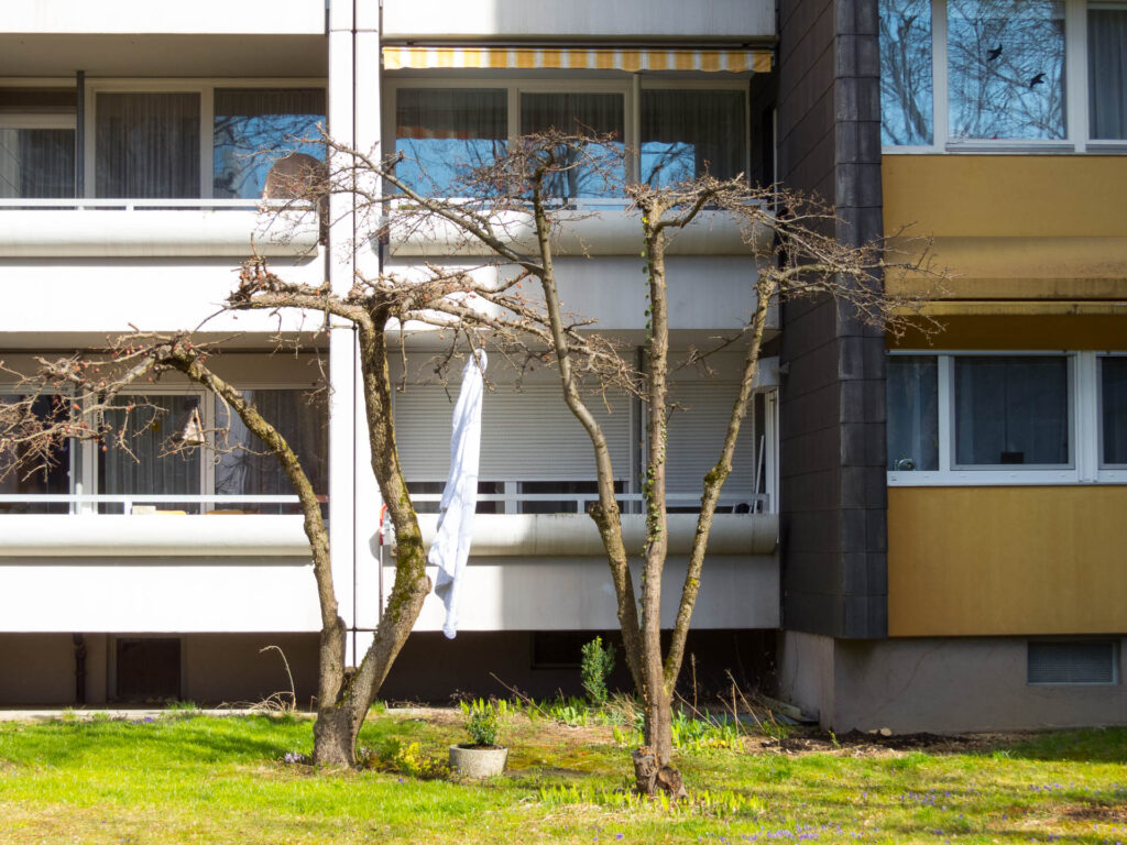 Laken vor meinem Haus